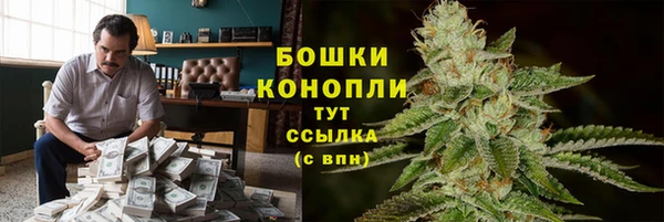 метадон Гусь-Хрустальный