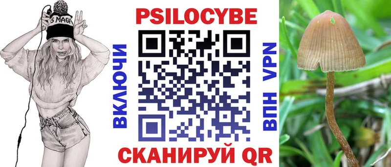 Галлюциногенные грибы Cubensis  как найти закладки  Дубовка 