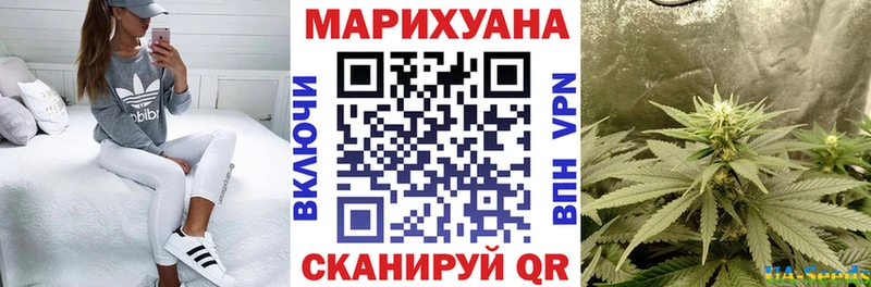 Марихуана конопля  Дубовка 